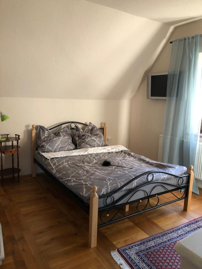 Ferienhaus Mit Pool Zum Traeumen Und Entspannen Fuer Alle Sinne Bad Schmiedeberg Εξωτερικό φωτογραφία